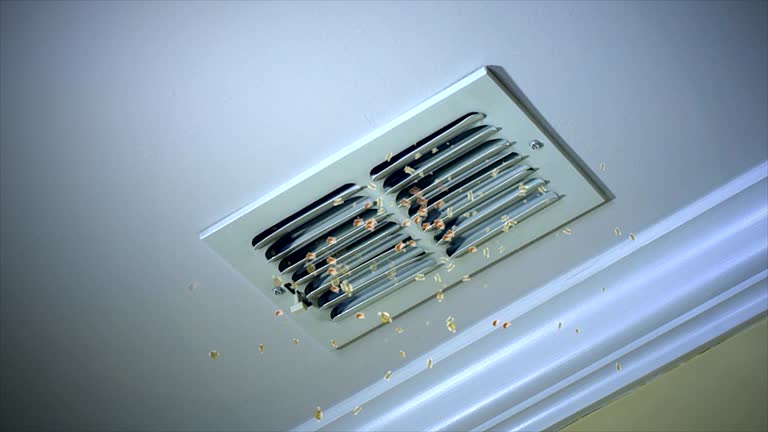 Best HVAC System Cleaning  in Newport News, VA