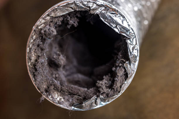 Best Dryer Vent Cleaning Services  in Newport News, VA